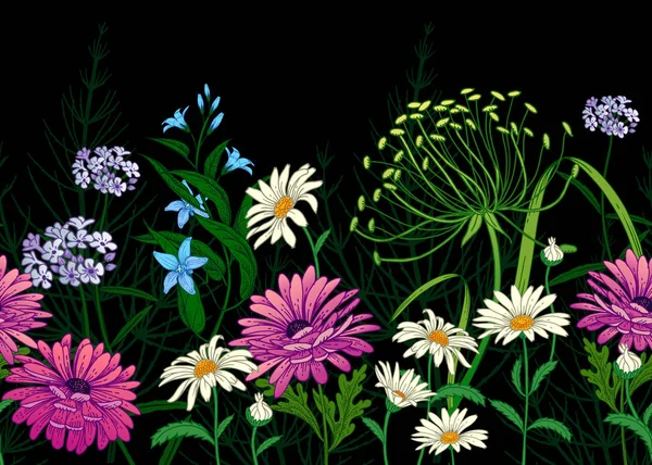 与野花的边界 无缝的夏天样式与领域花在黑色背景 花卉背景印刷壁纸 纺织品 手绘草图 时尚例证 — 图库矢量图片