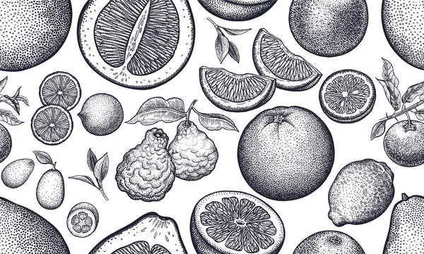 柑橘系の果物とシームレスなベクトル パターン 黒と白のイラスト ビンテージの彫刻 インテリア デザイン キッチン デザイン 手描き — ストックベクタ