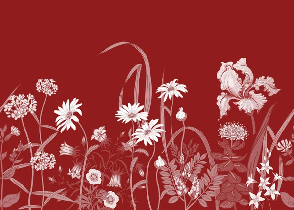 Bordure Avec Des Fleurs Sauvages Modèle Été Sans Couture Avec — Image vectorielle