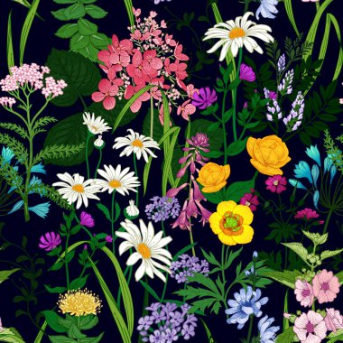 Kır çiçekleri ile sınır. Alan ve Bahçe çiçekleri ile sorunsuz yaz desen. İçin yazdırma duvar kağıdı, kağıt, tekstil, kumaş çiçek background. El çizim kroki. Moda vektör çizim.