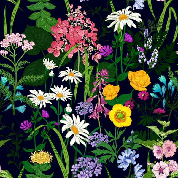 Bordure Avec Des Fleurs Sauvages Modèle Été Sans Couture Avec — Image vectorielle