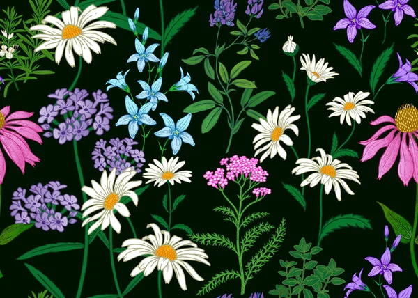 Συνόρων Αγριολούλουδα Απρόσκοπτη Καλοκαίρι Μοτίβο Πεδίο Και Λουλούδια Στον Κήπο — Διανυσματικό Αρχείο