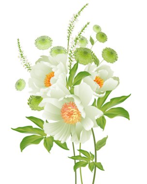 Buket bahar bahçe çiçek. Beyaz arka plan üzerinde Peonies. Vektör çizim. Victoria tarzı. Vintage. Tebrik kartları, düğün davetiyeleri, dekor çiçek mağazaları, çiçek dekorasyon reklam