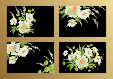 Çiçek kartı lüks desen küme. Hassas pastel Beyaz Bahçe aster peonies beyaz arka plan. Flora vintage tarzı vektör buket ve çelenk Bahçe çiçek. İş posterler, işaretler, el ilanları için şablon