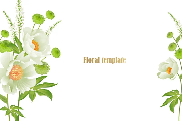 Peonías Tarjeta Floral Lujo Modelo Aster Jardín Blanco Pastel Delicado — Archivo Imágenes Vectoriales