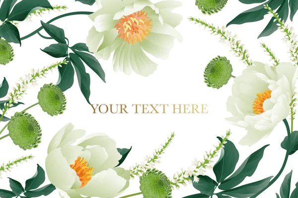 Blumen Karte Luxus Muster Zarte Pastell Weißen Garten Aster Pfingstrosen — Stockvektor