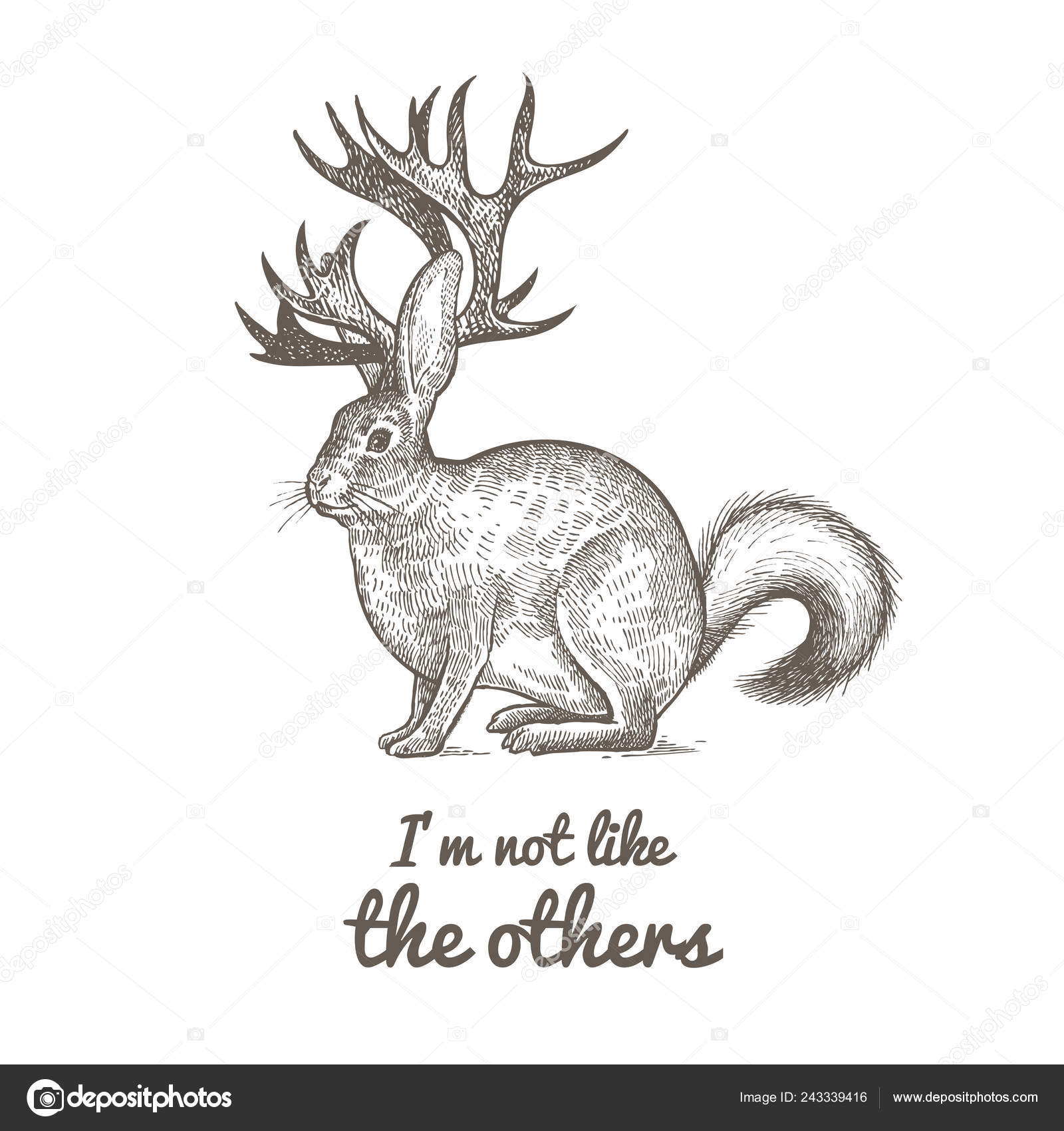 Animal Fantástico Incomum Frase Não Sou Como Outros Criatura Engraçada  Vetor de ©sasha-kasha 243339416, image size:1600x1700