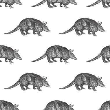 Armadillo. Hayvanlar La Güney Amerika ile dikişsiz desen. Vahşi yaşam el çizimi. Vektör illüstrasyon sanatı. Siyah ve beyaz. Eski gravür. Vintage. Kumaşlar için tasarım; kağıt; tekstil; Moda.