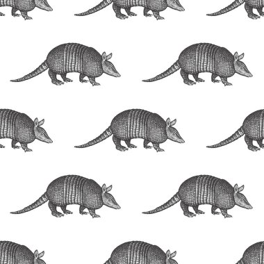 Armadillo. Seamless pattern with animals South America. Hand drawing of wildlife. Vector illustration art. Black and white. Old engraving. Vintage. Design for fabrics; paper; textiles; fashion. clipart