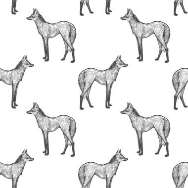 Yeleli kurt. Hayvanlar Güney Amerika ile Seamless modeli. El çizimi vahşi yaşam. Vektör çizim sanat. Siyah ve beyaz. Eski gravür. Vintage. Kumaşlar, kağıt, tekstil, moda tasarım.