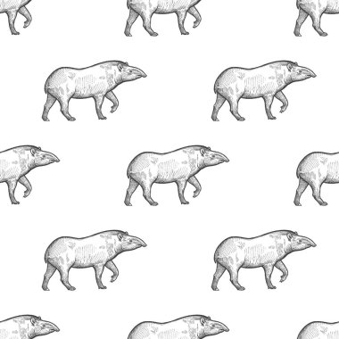 Tapir. Hayvanlar Güney Amerika ile Seamless modeli. El çizimi vahşi yaşam. Vektör çizim sanat. Siyah ve beyaz. Eski gravür. Vintage. Kumaşlar, kağıt, tekstil, moda tasarım.