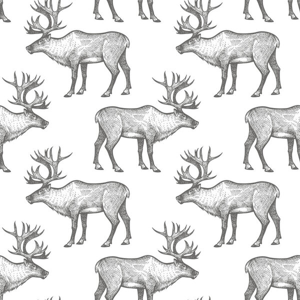 Олени. Бесшовный рисунок с животными Северной Америки. Ручной рисунок дикой природы. Векторное иллюстрационное искусство. Черное и белое. Старая гравировка. Винтажные. Дизайн для тканей; бумага; текстиль; мода
.