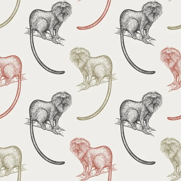 남미와 패턴입니다 타마린입니다 파스텔 배경에 원숭이 동물의 그림입니다 일러스트 예술입니다 — 스톡 벡터