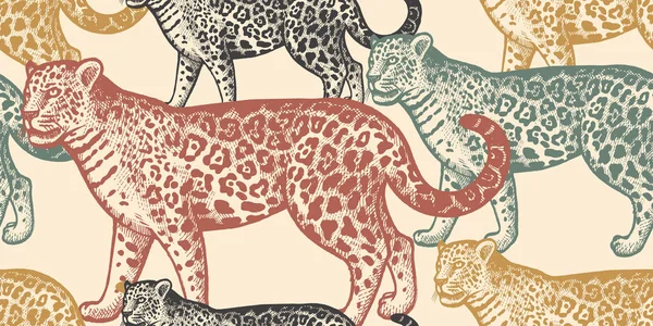 Wzór Zwierzęta Jaguar Ameryki Południowej Dłoń Rysunek Dzikiej Przyrody Sztuka — Wektor stockowy