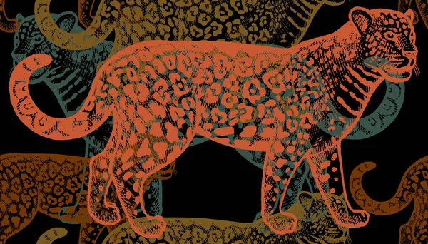 黑色背景上的彩色捷豹 动物的手绘 无缝矢量模式 复古风格的雕刻 用于制作织物 纺织品 窗帘的插图 — 图库矢量图片