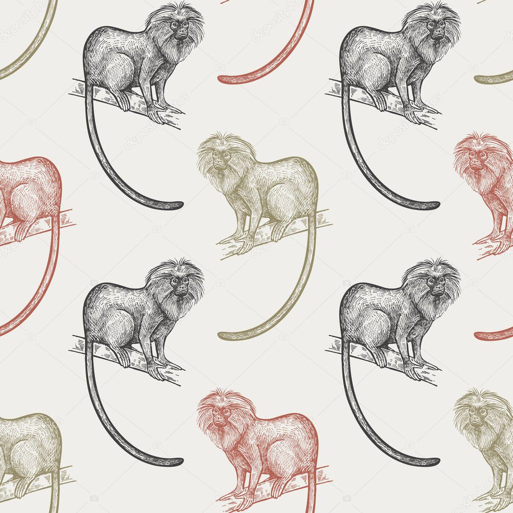 Summer seamless pattern with animals South America. Lion tamarin. Red, black, green monkeys on pastel background. Hand drawing of wildlife. Vector illustration art.  Vintage. Design for fabrics, paper