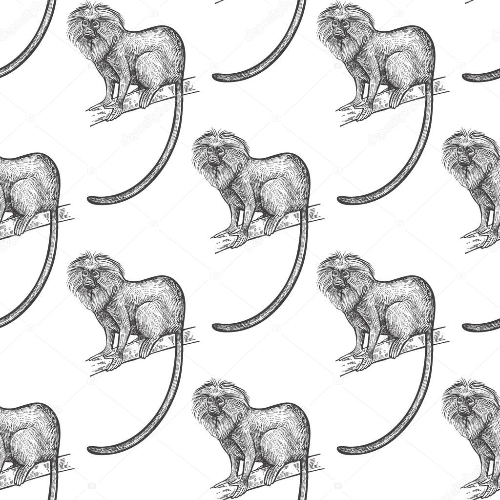 Lion tamarin. Seamless pattern with animals South America. Hand drawing of wildlife. Vector illustration art. Black and white. Old engraving. Vintage. Design for fabrics, paper, textiles, fashion.
