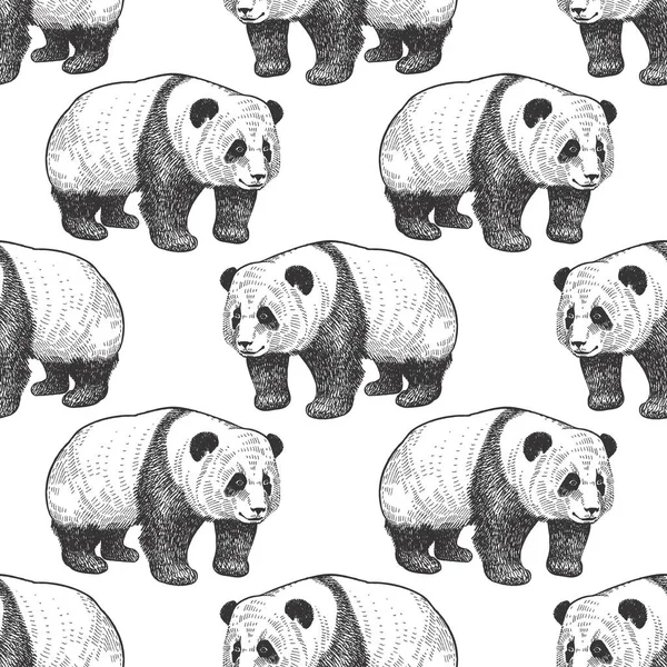 Bear Panda Patrón Sin Costuras Con Animales China Dibujo Mano — Vector de stock