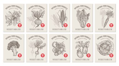 Çeşitli sebze ve yazıtlar içeren etiketleri. Mağazalar ve marketler organik vejetaryen gıda için şablonlar fiyat etiketleri ayarla. Vektör çizim sanat. Vintage. El doğa nesnelerin çizimi.