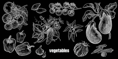 Sebze izole küme. Domates, salatalık, patlıcan, biber, sarımsak, bamya, domates. El çizim kroki. Vektör çizim sanat. Vintage oyma. Beyaz tebeşir kara tahta üzerinde