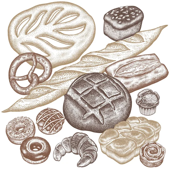 Προϊόντα Άρτου Σετ Ψωμί Σίκαλης Ciabatta Άσπρο Ψωμί Ολικής Αλέσεως — Διανυσματικό Αρχείο