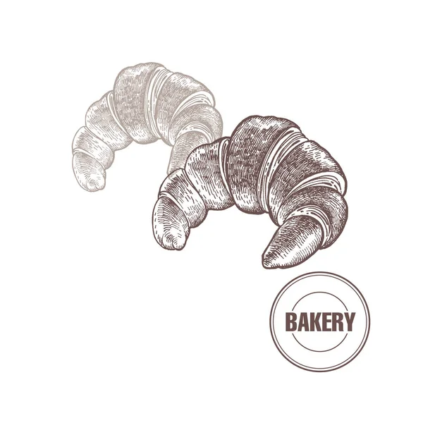 Croissant Mano Che Disegna Prodotto Pane Illustrazione Vettoriale Del Cibo — Vettoriale Stock