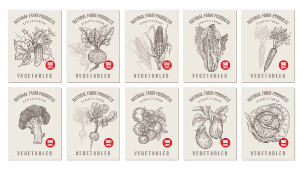 Etiquetas Com Vários Vegetais Inscrições Definir Modelos Etiquetas Preço Para — Vetor de Stock