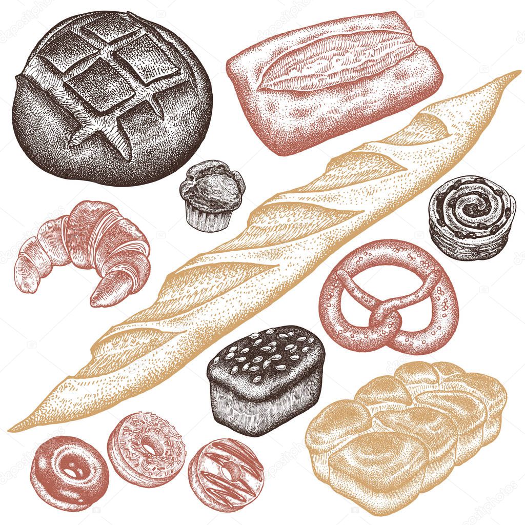Bakery set. Bread white and black, brioche, ciabatta, croissant, French baguette, bun, pretzel, donut, muffin, loaf isolated on white background. Vector food illustration art. Vintage engraving.