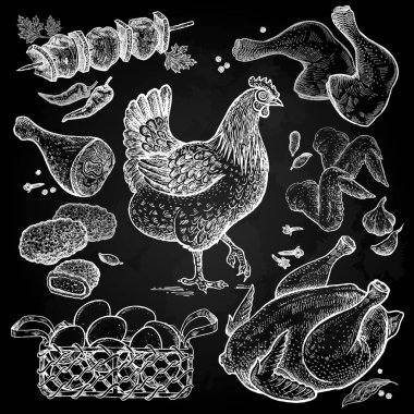 Kuş ve gıda nesneler. Kümes hayvanları taslağını. Tavuk karkas, kanatlar, bacaklar, tavuk nuggets, tavuk yumurtası sepeti, baharat beyaz tebeşir bir kara tahta üzerinde. Vintage gravür tarzı. El çizim vektör.