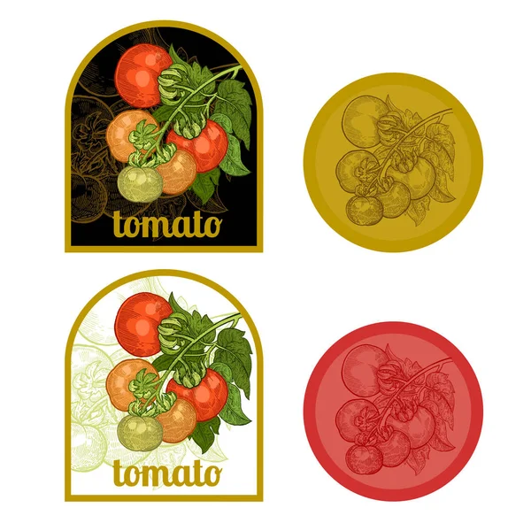 Seperangkat Label Dengan Gambar Tomat Templat Untuk Membuat Label Pengepakan - Stok Vektor