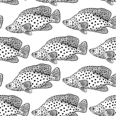 Su altında dekoratif balık ile sorunsuz vektör desen. Deniz alt ve hayvanlar. Vintage gravür sanat. El çizim kroki. Kağıt, kumaş, duvar kağıdı için deniz ürünleri ile mutfak tasarımı. Siyah ve beyaz