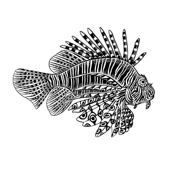 Декоративная Зебра Коралловых Рыб Выделена Белом Фоне Векторная Иллюстрация Животное — стоковый вектор
