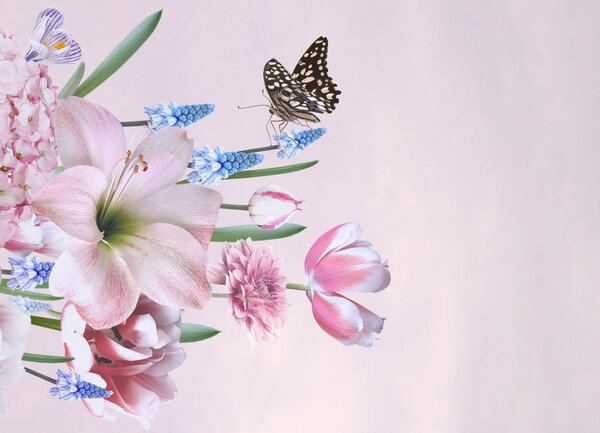 Spring flowers tulips, hyacinths, anemone, primroses in bloom and butterfly. Bouquet of beautiful garden flowers on pink. Floral decoration. Vintage background. Baroque style.
