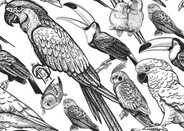 Papağan ile sorunsuz vektör arka plan.