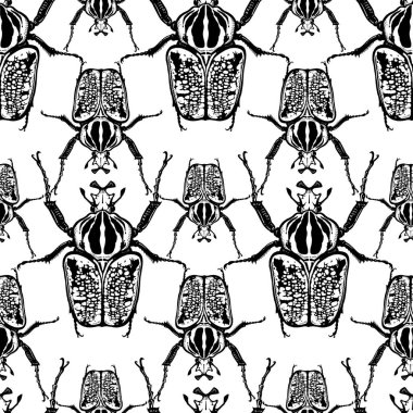 Böcekler ile Seamless modeli. Böcekleri Goliath üzerinde beyaz backgr