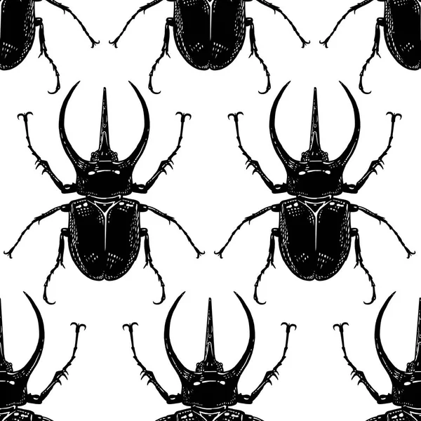 Seamless pattern with insects. Beetles — Stock Vector