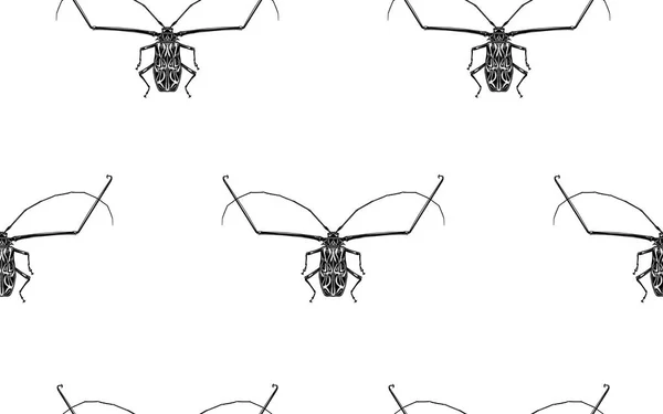 Patrón sin costuras con insectos. Escarabajos arlequín — Vector de stock