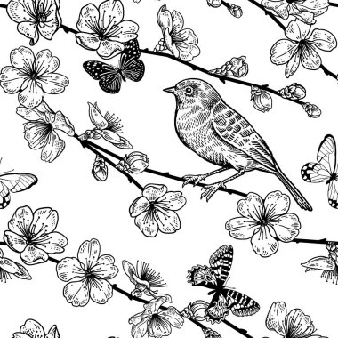 Japon kiraz, kuş ve kelebekler. Kusursuz desen. Siyah a