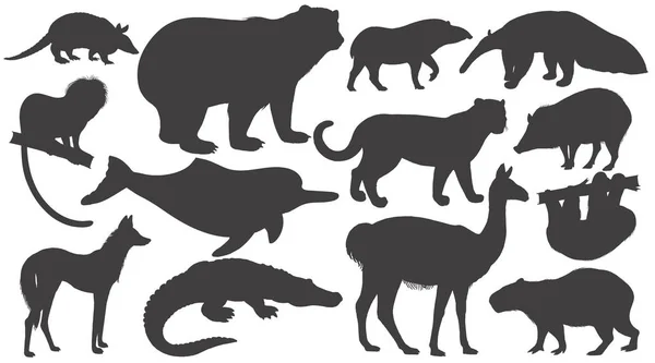 Ensemble de silhouettes animaux d'Amérique du Sud . — Image vectorielle