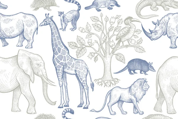 hayvanlar ile Seamless Modeli.