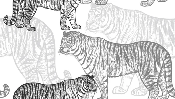 Χωρίς ραφή πρότυπο με τίγρη — Διανυσματικό Αρχείο
