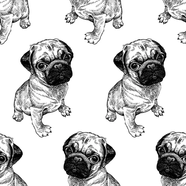 Seamless pattern with cute puppies of pug.