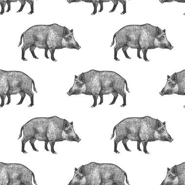 Domuzlar ile dikişsiz desen.