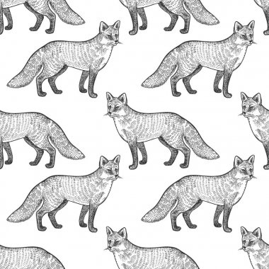 fox ile Seamless Modeli.