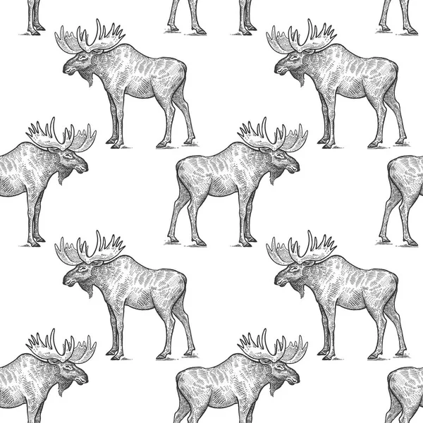 Seamless pattern with moose. — Stock Vector