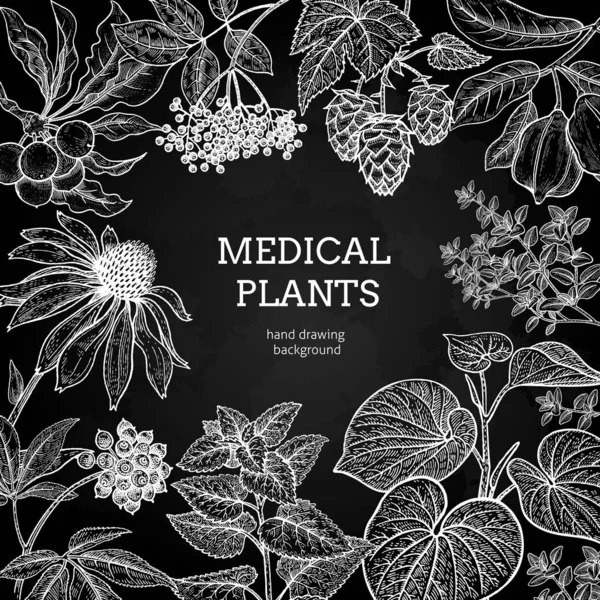 Medical herbs and plants. Black and white card. — Stock Vector