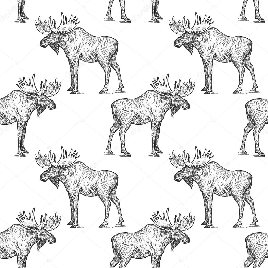 Seamless pattern with moose.