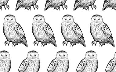 Kutup baykuşları. Kuşlarla kusursuz desen. Siyah beyaz.