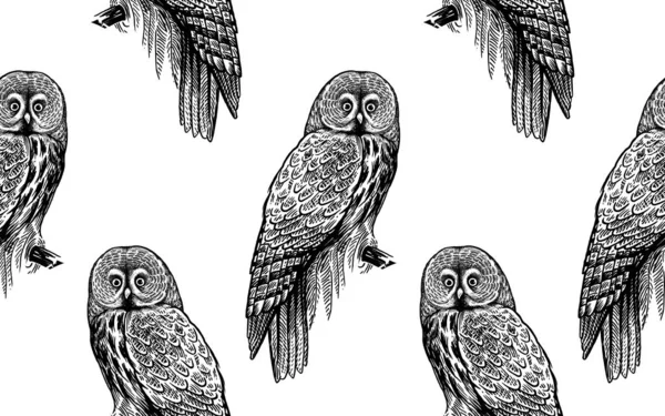Ugglor. Sömlöst mönster med fåglar. Svartvitt. — Stock vektor