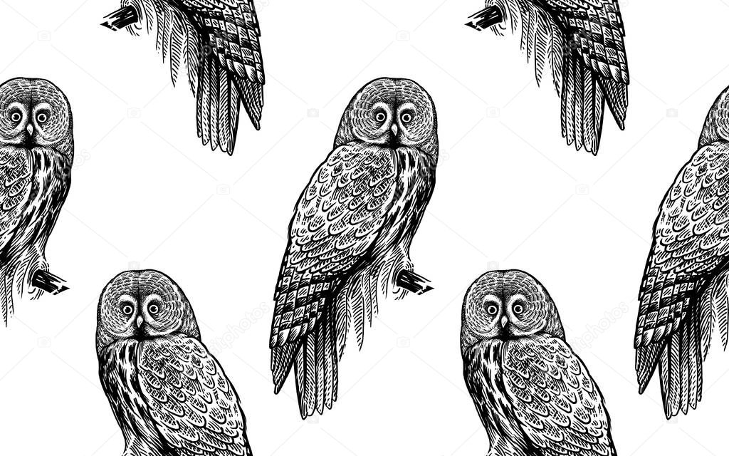 Owls. Seamless pattern with birds. Black and white.